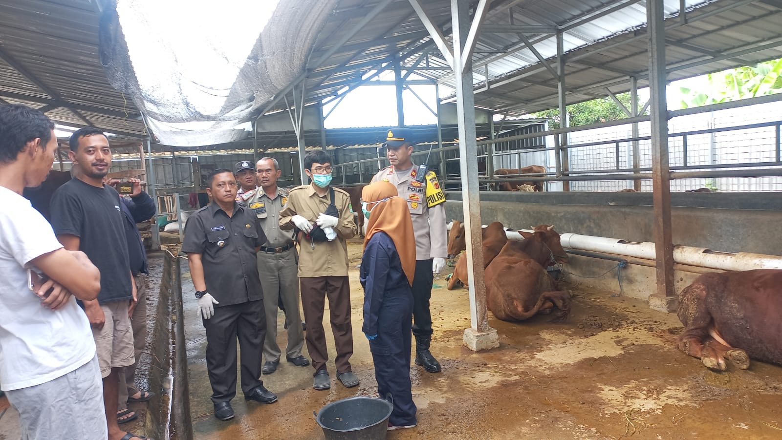 Jelang Hari Raya Idul Adha, Kapolsek Panyingkiran Keliling Cek Hewan Kurban di Wilayah Panyingkiran