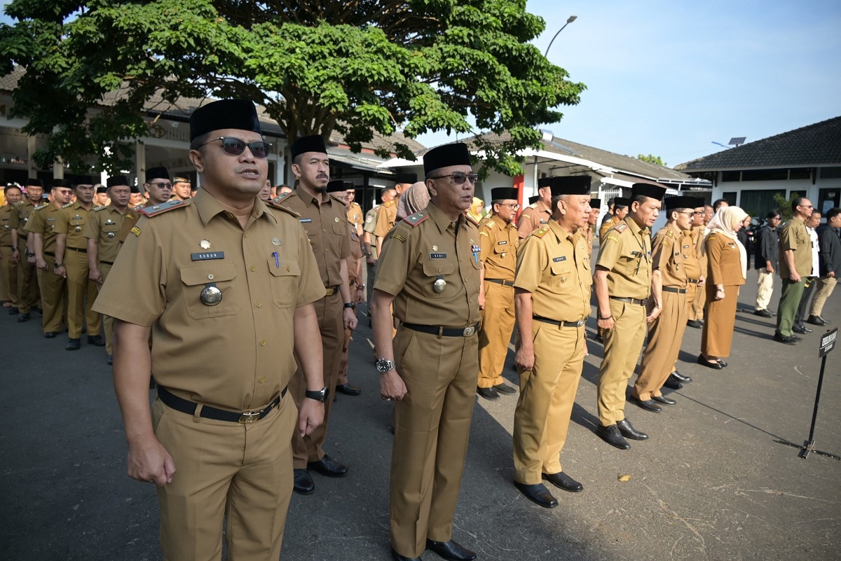 Syarat CPNS 2025 Lulusan SMA, SMK, D3 dan S1: Persyaratan Resmi dan Tips Lolos!