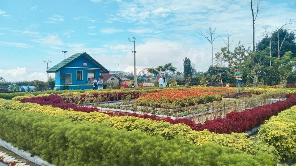 Taman Bunga Bee Park Majalengka, Koleksi 101 Jenis Bunga, Cocok untuk Wisata Keluarga