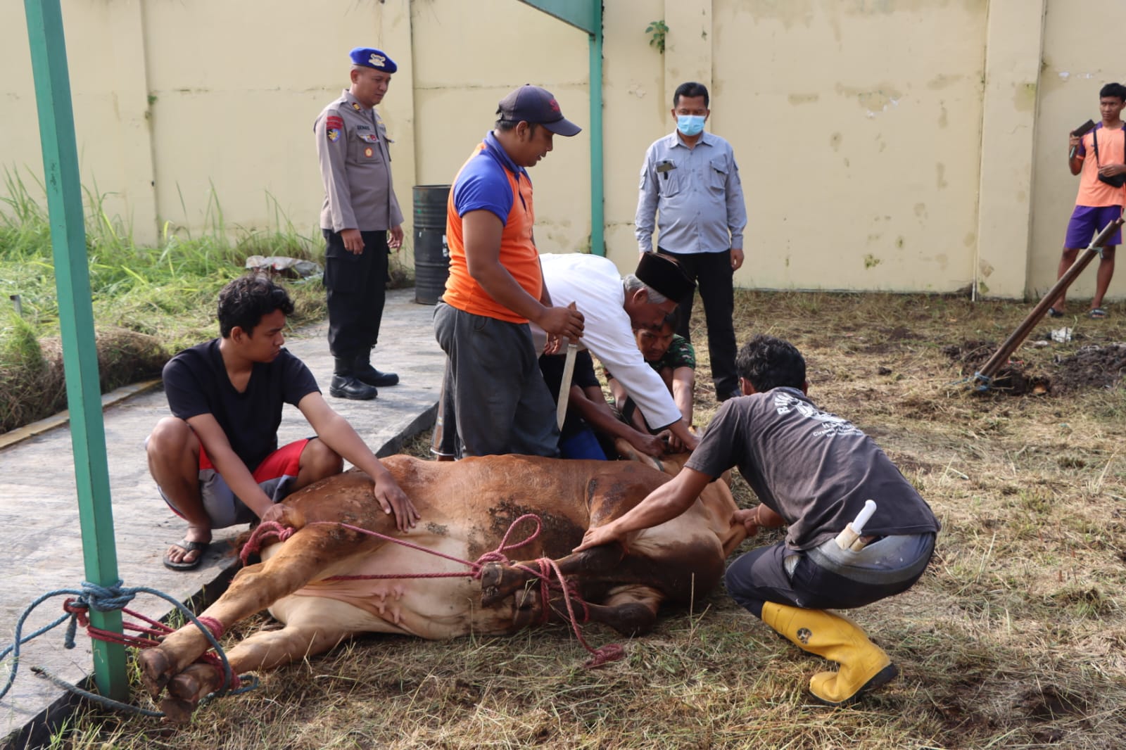 Gelar Istighosah, Polresta Cirebon Sembelih Hewan