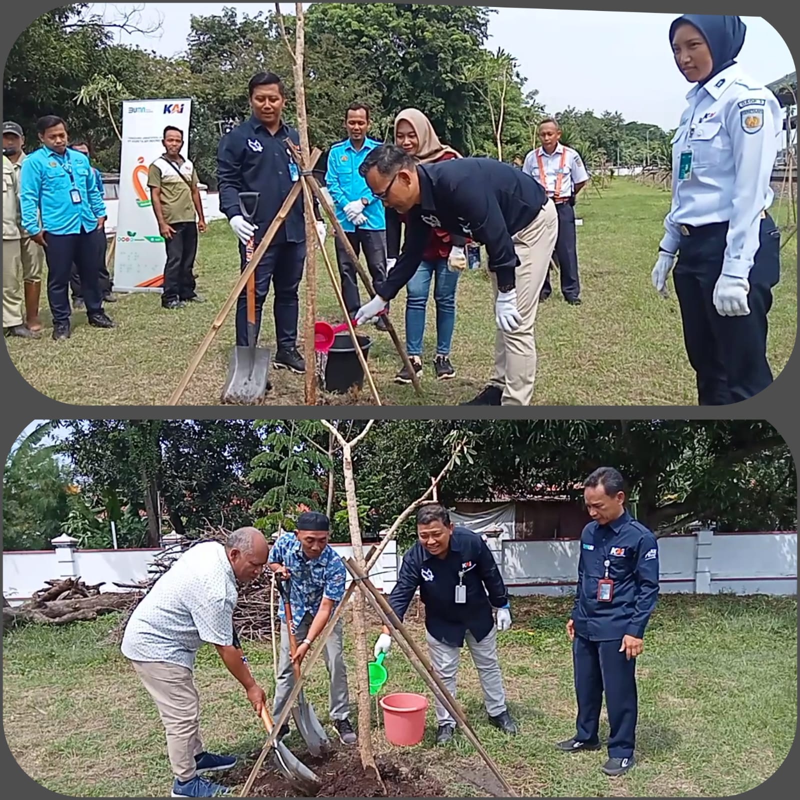 Peduli Pelestarian Lingkungan, PT KAI Daop 3 Cirebon Tanam 200 Pohon di Stasiun 