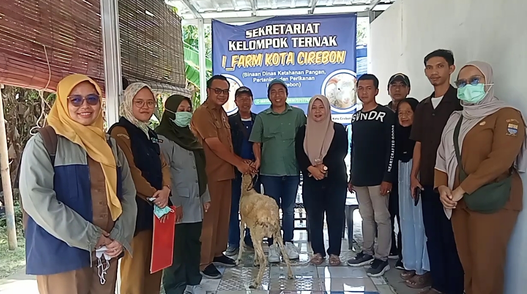 Muhamad Noupel Bantu Peternak Sunyaragi, DKPPP Distribusikan Domba dan Vitamin