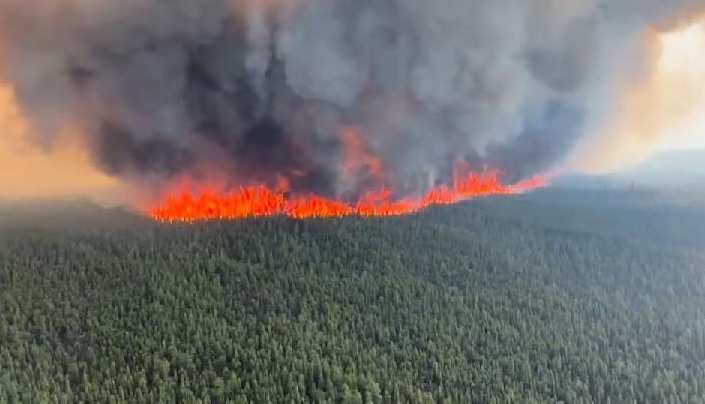 Inilah Efek Kebakaran Hutan Bagi Psikologi Warga Kanada