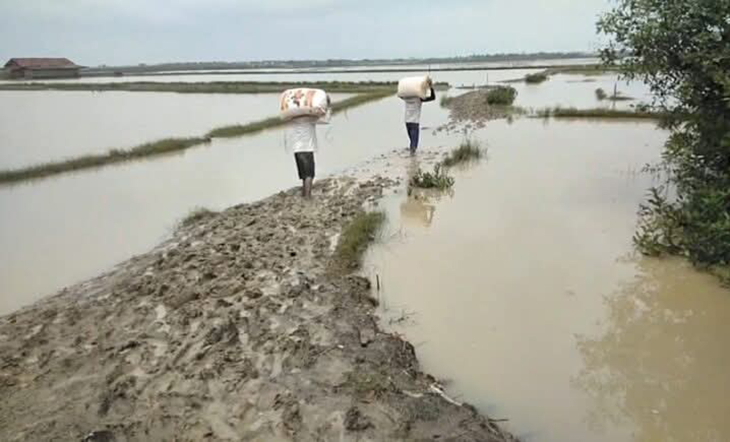Akses Jalan Petani Garam di Indramayu Rusak Sejak 2012, Makin Parah di Musim Hujan