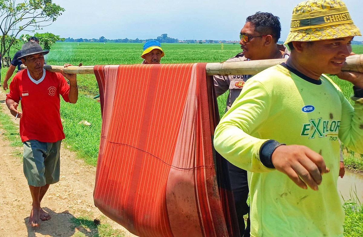 7 Hari Meninggalkan Rumah, Warga Cirebon Ditemukan Meninggal di Tengah Sawah