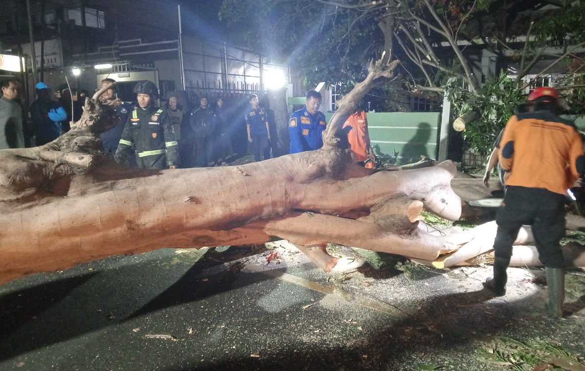 Fenomena Angin Kencang di Cirebon dan Sekitarnya, Dipengaruhi Angin Kumbang Gunung Ciremai 