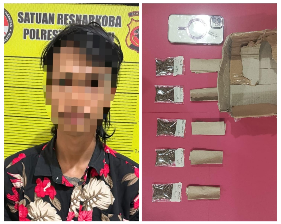 Eks Buruh di Pabedilan Simpan Ganja Siap Edar, Satresnarkoba Polresta Cirebon Langsung Bekuk