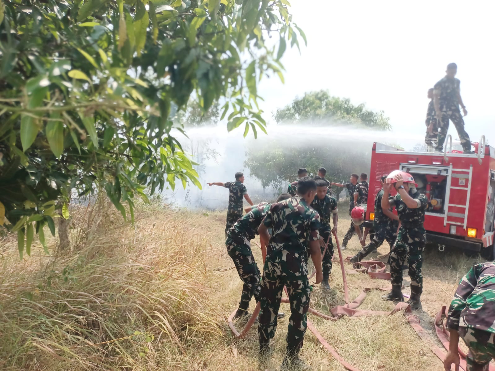 Kebun Kayu Putih Terbakar di Samping Markas Yonif 337/Sutajaya, Api Berhasil Dikendalikan