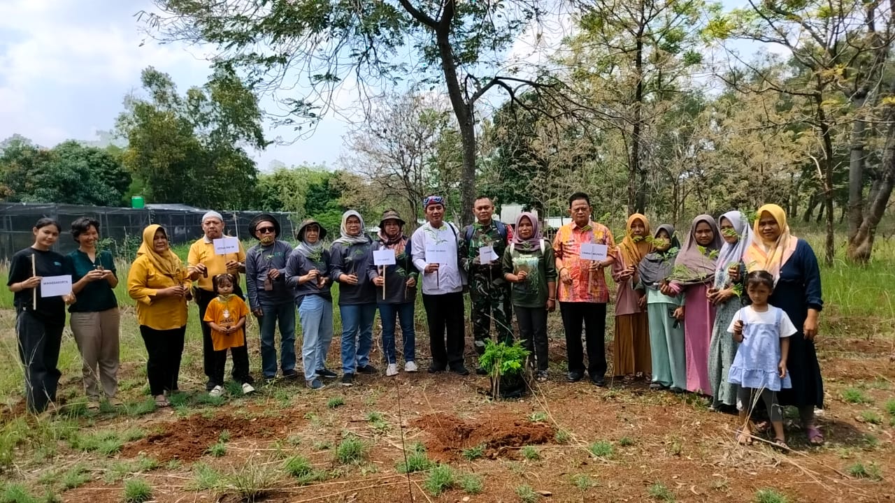 Didatangkan Langsung dari Bandung, Waduk Setupatok Ditanami Ribuan Pohon Albasia
