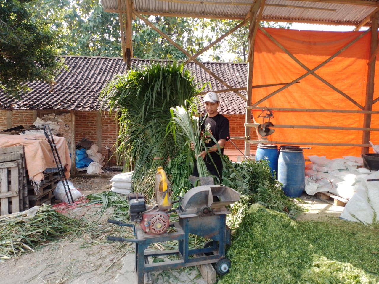 Kisah Pengusaha Pakan Ternak dari Ponorogo Ini Buktikan KUR BRI Bisa Bikin Usaha Berkembang