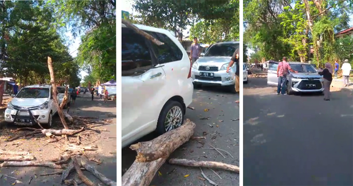3 Mobil Tertimpa Pohon Tumbang di Kompleks Olahraga Bima Kota Cirebon, 3 Dinas Saling Lempar