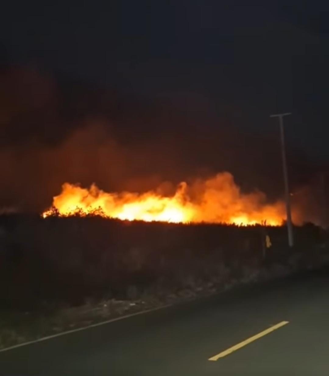 Lahan 5 Hektare Terbakar di Karangmangu, Warga Panik saat Api Dekati Pemukiman