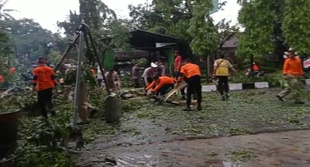 CUACA EKSTREM di Cirebon, Pohon di Lampu Merah Taman Sumber Tumbang