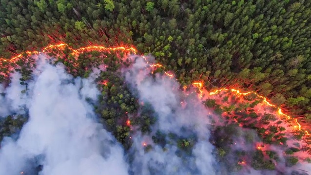 Kebakaran Hutan Taiga Siberia Timur Merupakan Siklus Tahunan
