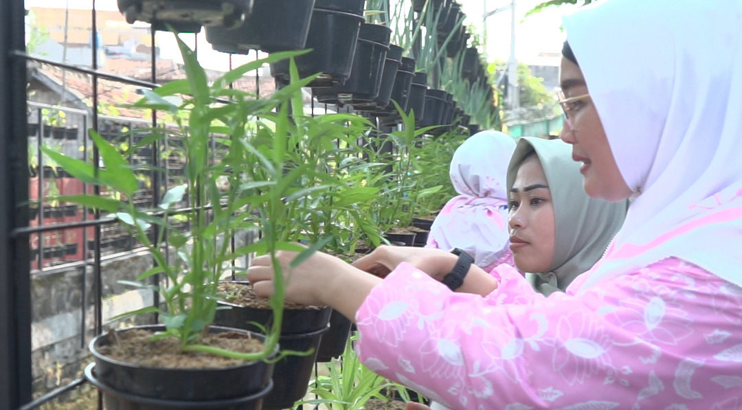 Program BRInita Sukses di Bandung, Kelurahan Padjadjaran Jadi Percontohan Urban Farming