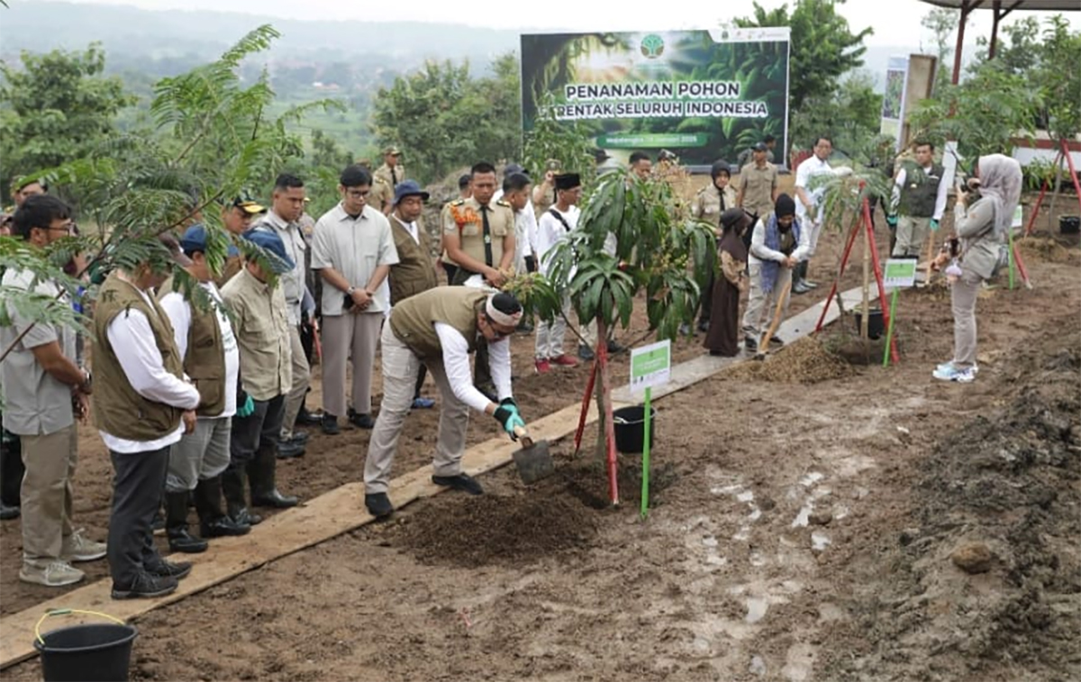 Aksi Penanaman Pohon di Majalengka, Kemenhut dan Pertamina EP Hijaukan 6,3 Hektare Lahan DAS