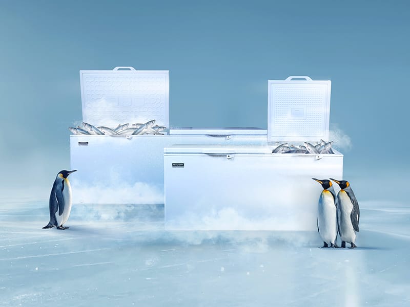 Modena Perkenalkan Chest Freezer Terbaru, Solusi Andal untuk Berbagai Sektor Usaha