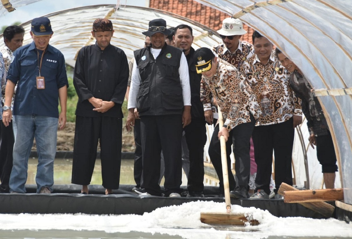 Potensi Bisnis Garam di Cirebon, Omzet Bisa Tembus Rp100 Miliar