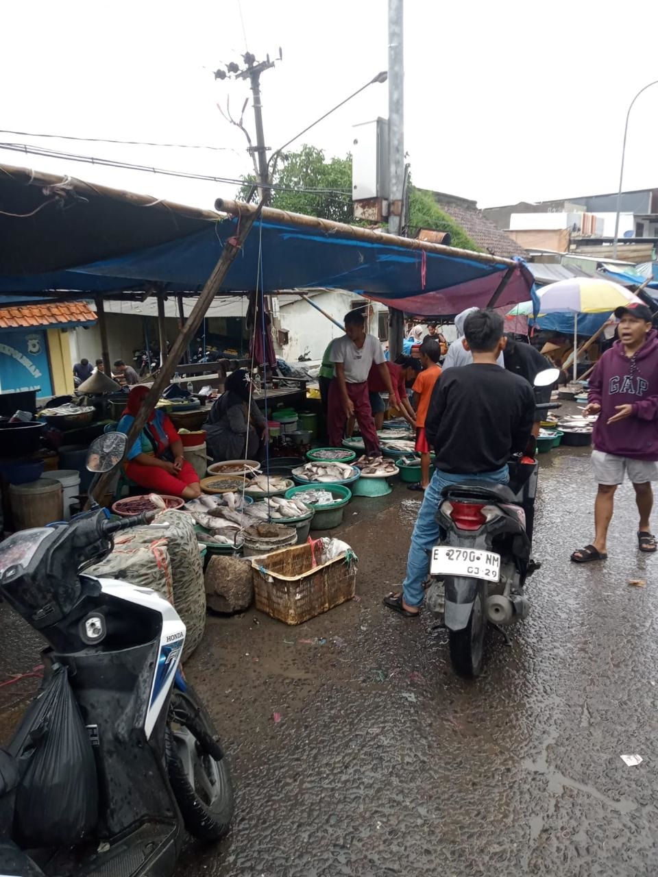DKPP Gencarkan Safari  Gemar Makan Ikan ke Sekolah dan Masyarakat