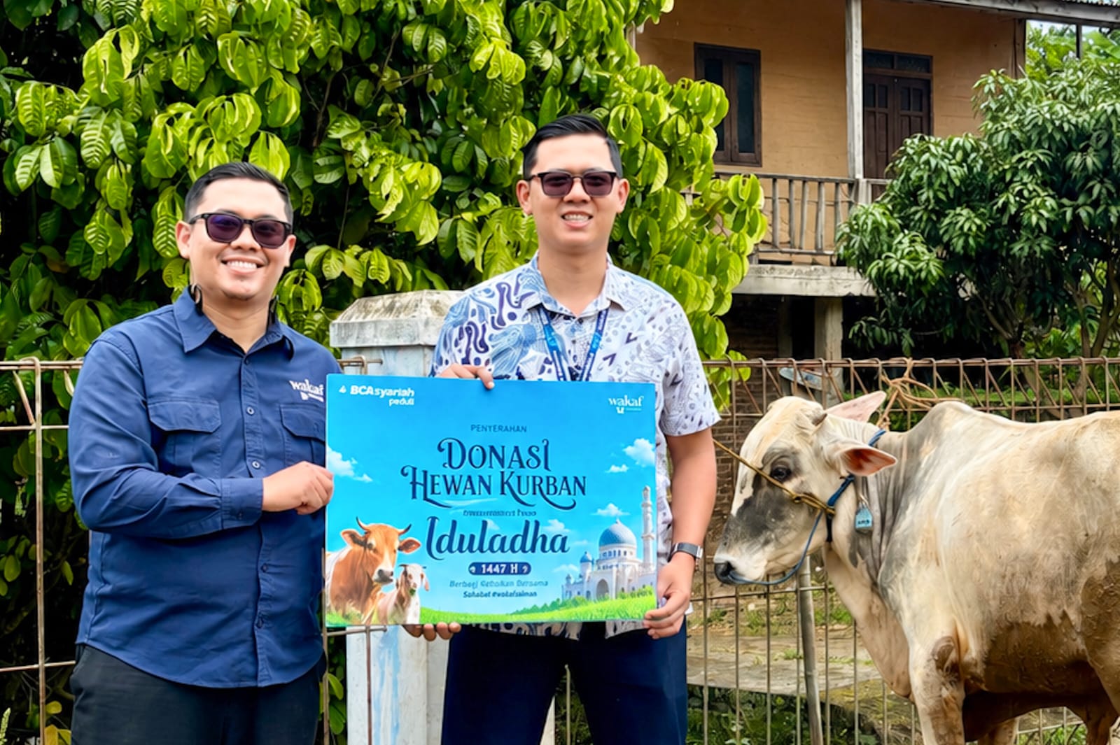 BCA Syariah Salurkan Hewan Kurban di 16 Kota, Gandeng 11 LAZ Nasional