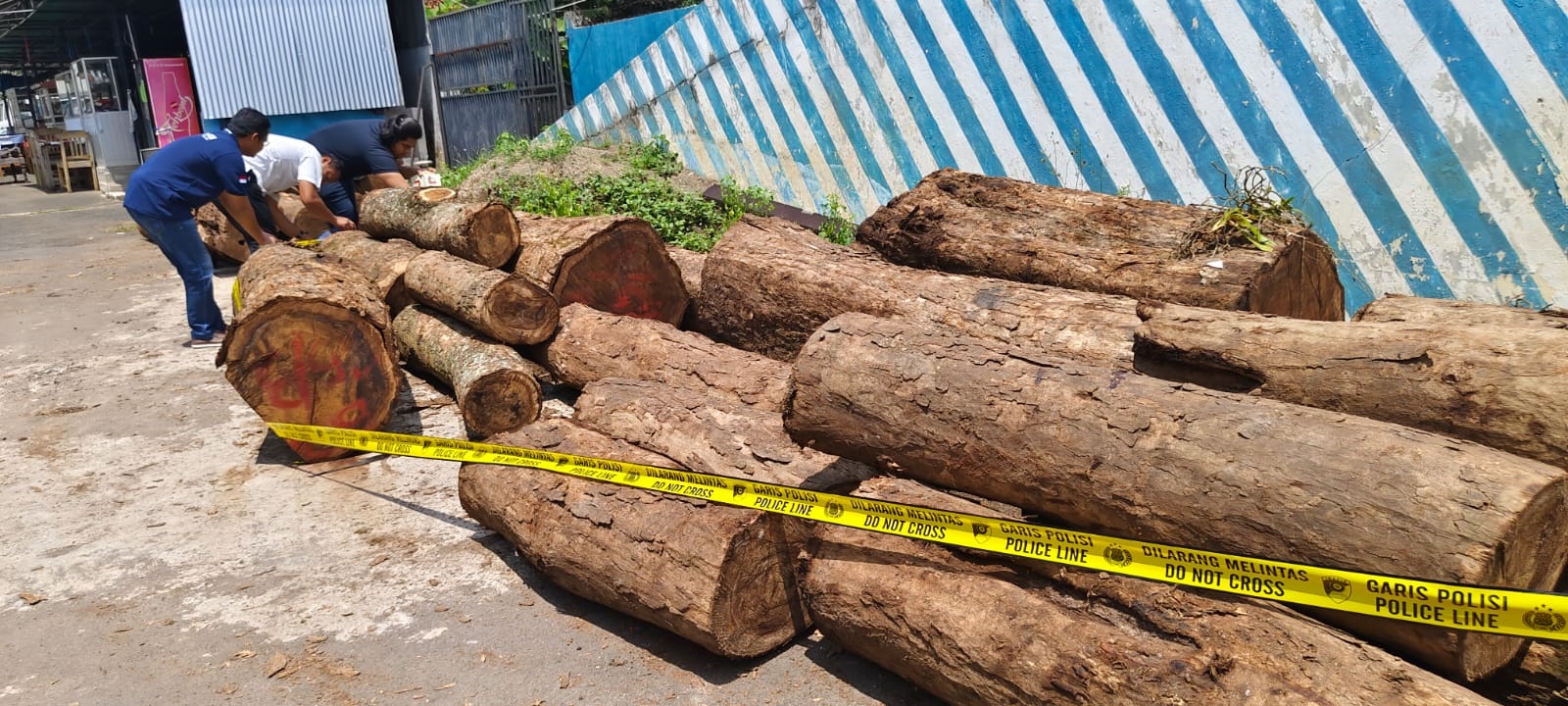 Polres Kuningan Tetapkan Lima Tersangka Pembalakan Liar di TNGC