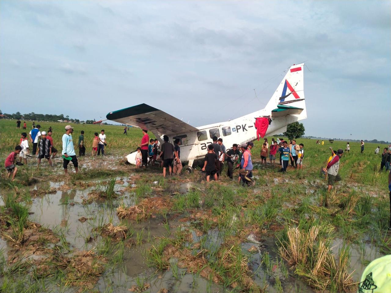 Bukan Jatuh, Pesawat Cessna Penerbangan Tangerang - Cirebon Melakukan Pendaratan Darurat di Sawah