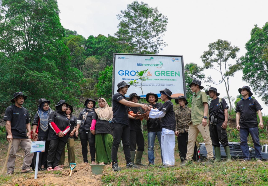 Pulihkan Hutan Bekas Tambang, Kelompok Tani Selamatkan Lingkungan Bersama BRI Menanam-Grow and Green