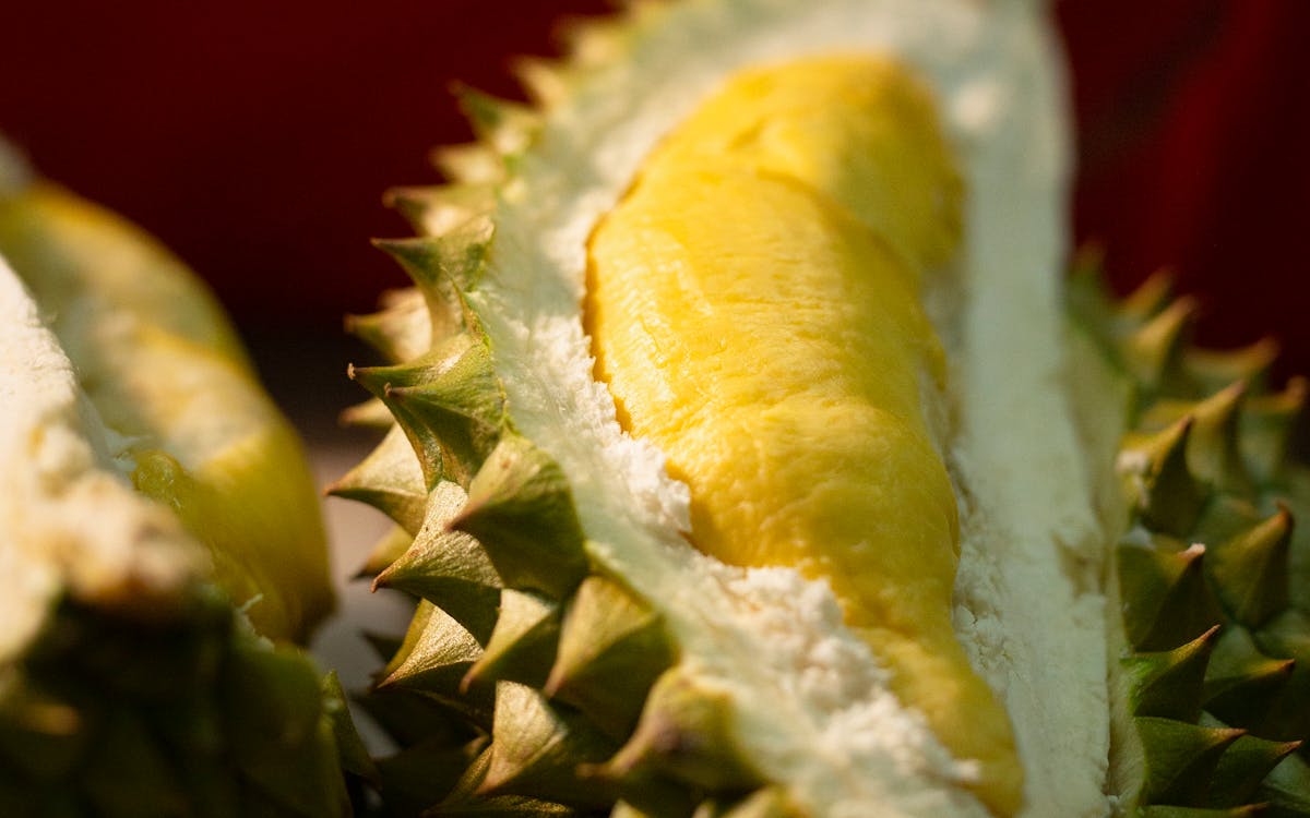 Festival Durian di Cibuntu Kuningan Ada 4 Paket, Makan Sepuasnya Rp185 Ribu