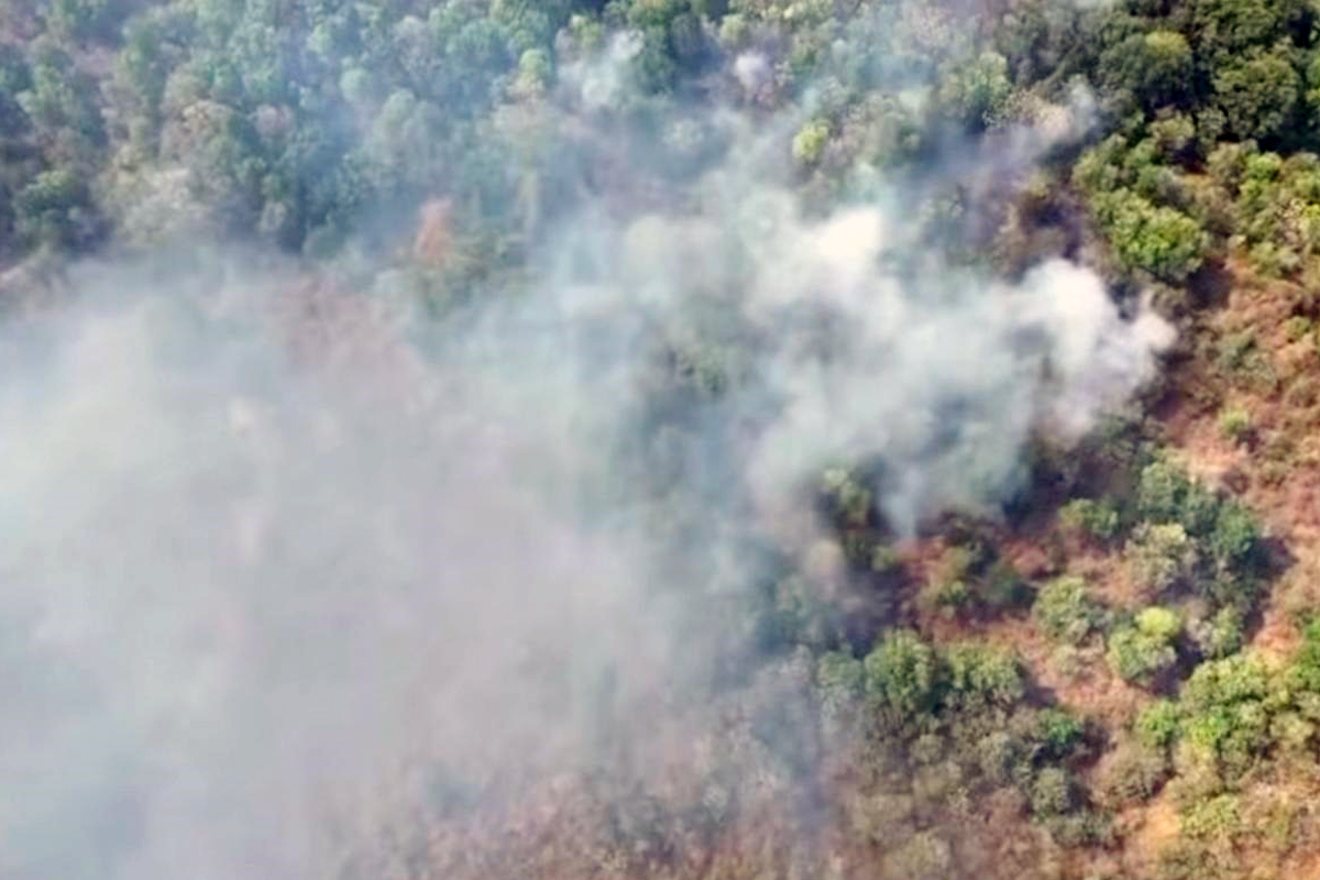 Kebakaran Hutan Melanda 3 Blok di Gunung Ciremai, Api Belum Padam