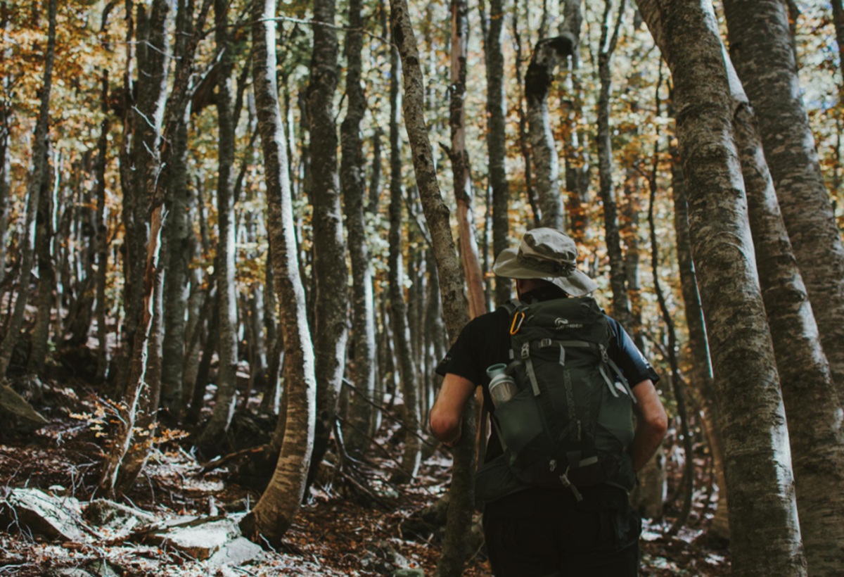 Menggapai Atap Jawa Barat: Panduan Memilih Jalur Pendakian Terbaik Gunung Ciremai