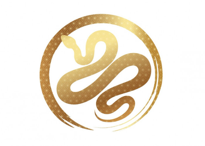 Ramalan Shio Ular Tahun 2026: Rezeki Menguat, Karier Melonjak, Tapi Ada Ujian Emosi