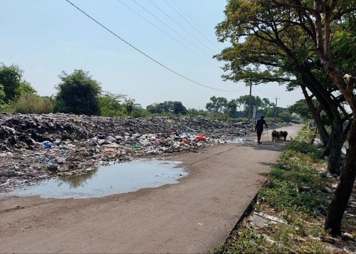 MIRIS! Gunungan Sampah di Pesisir Kota Cirebon, Warga Tersiksa Bau Menyengat