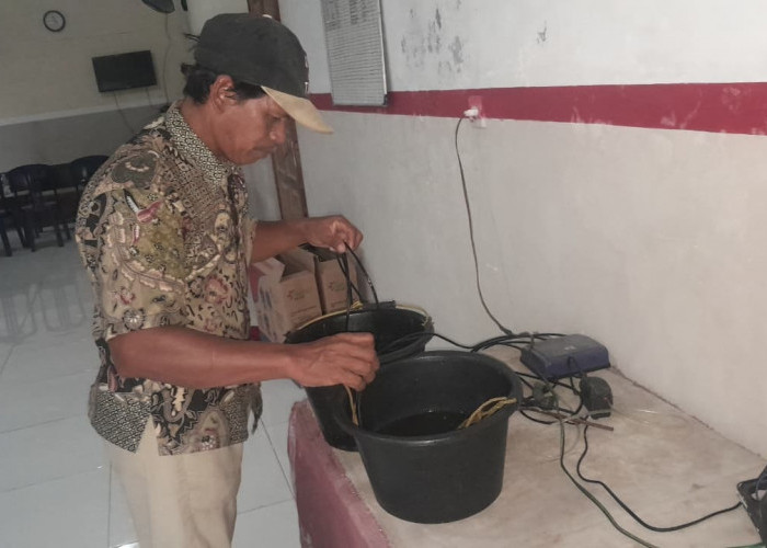 Jaga Populasi Rajungan, Nelayan Cirebon Lepasliarkan Jutaan Benih ke Laut