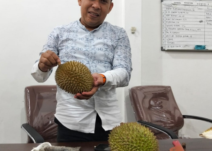 Meski Sudah Menjadi Anggota Dewan, Ade Irawan Tetap Jalani Bisnis Durian