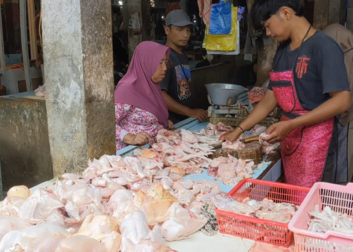 Harga Daging Ayam di Kota Cirebon Naik Jelang Ramadan