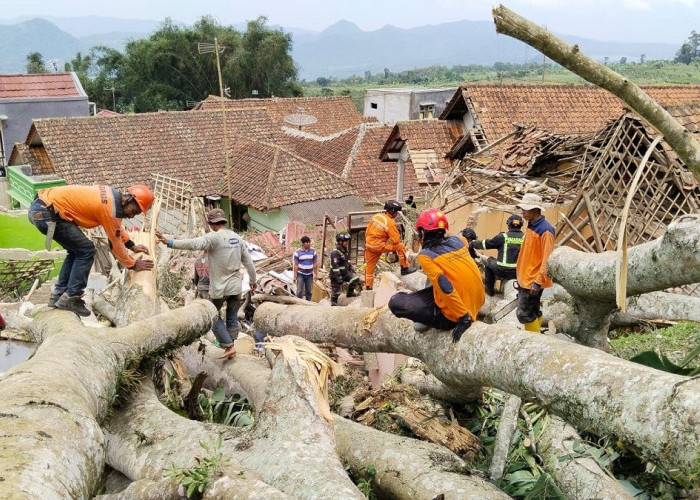 Hari Pertama Puasa 3 Rumah Hancur 5 Orang Terluka di Desa Puncak Kuningan, Beringin Raksasa Tumbang
