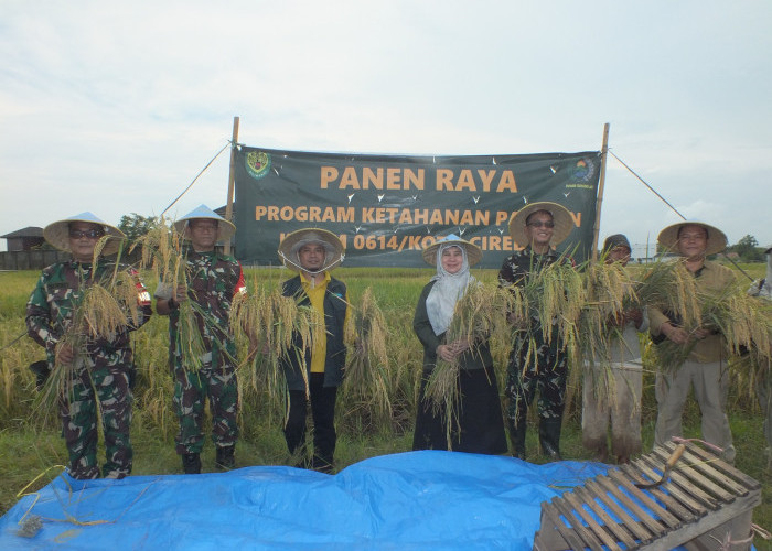 Dandim 0614/Kota Cirebon dan Kadis Pertanian Laksanakan Panen Padi Bersama di Argasunya
