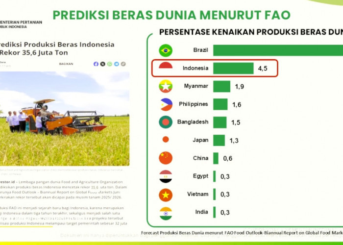 Mentan Amran Bongkar Kunci Swasembada Beras 2025, Data FAO dan USDA Ikut Menguatkan