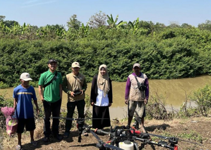 Petani Kongsijaya Manfaatkan Drone Sprayer, Penyemprotan Padi Lebih Cepat, Efisien, dan Aman