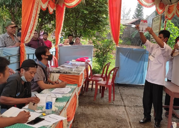 334 Calon Kuwu Bertarung di Pilwu Serentak Kabupaten Cirebon 2023, Ada 56 Incumbent dan 25 Mantan