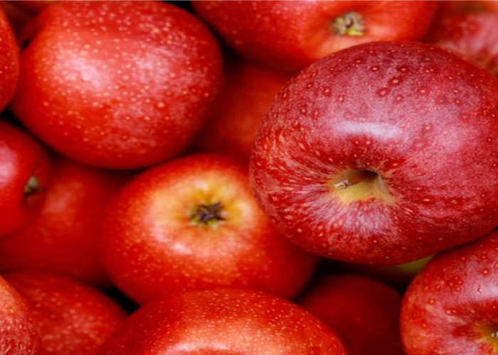 Cegah Kanker! Berikut adalah Manfaat Konsumsi Buah Apel yang Wajib Kamu Ketahui!