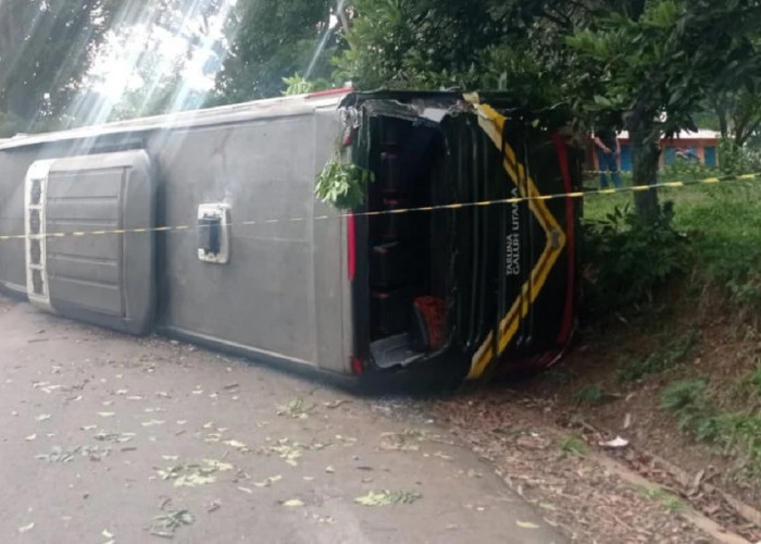 Tak Kuat Menanjak, Bus Mengangkut Pramuka Terguling di Kirpay, Saksi: Gak Layak Pakai