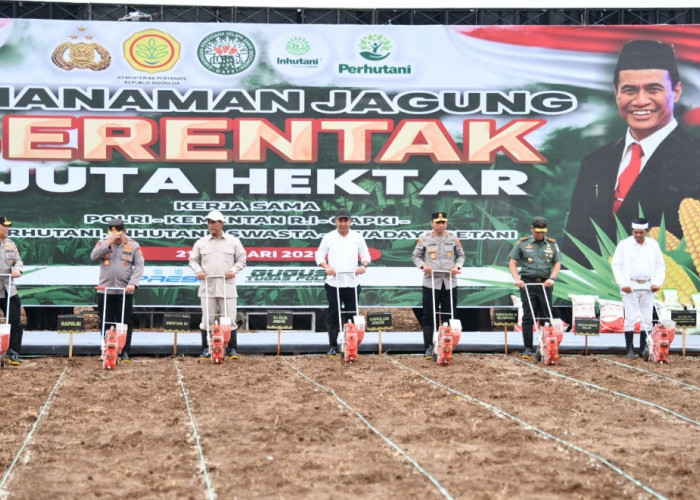 Launching Gerakan Penanaman Jagung 1 Juta Hektare, Subang Jadi Percontohan Nasional