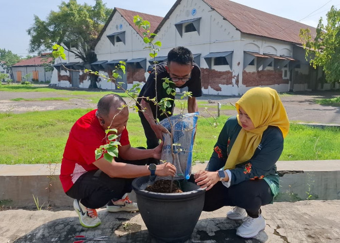 Pelindo Regional 2 Cirebon Perkuat Komitmen Green Port di Pelabuhan Cirebon