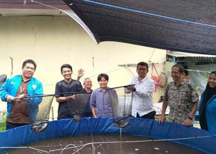 KNPI Kota Cirebon Panen Perdana Lele, Dorong Pemuda Lebih Produktif dan Mandiri