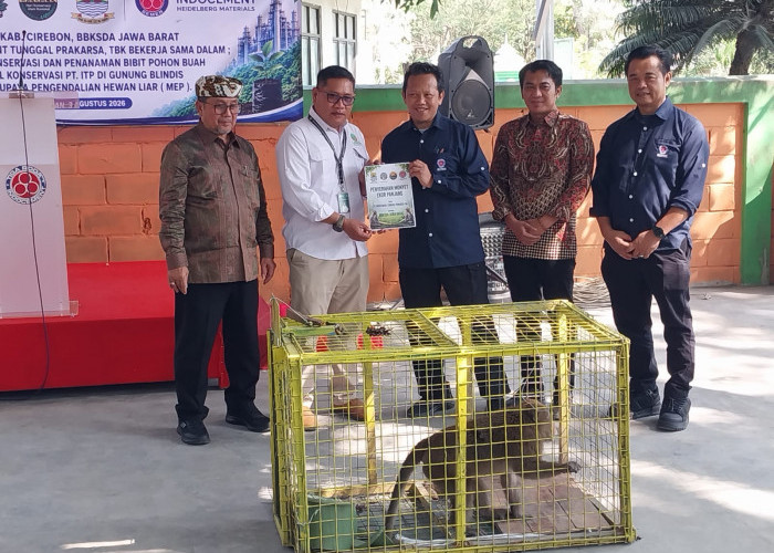 Indocement Tanam Pohon dan Serahkan Puluhan Monyet Ekor Panjang ke BBKSDA