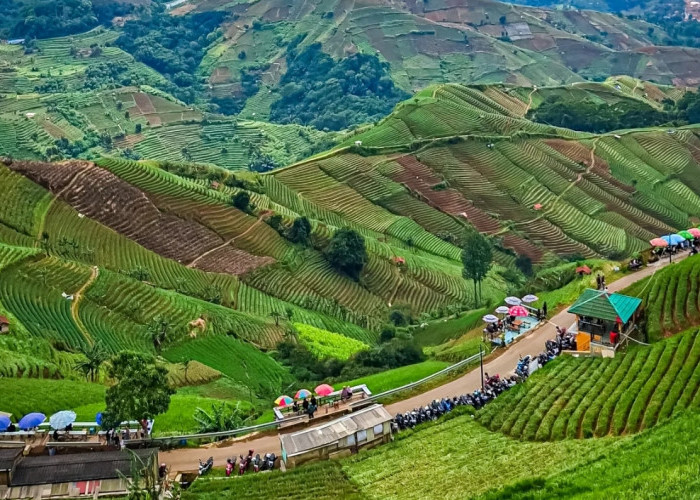 8 Tempat Wisata Majalengka Bareng Keluarga, Pemandangannya Indah & Bikin Liburan Makin Seru!