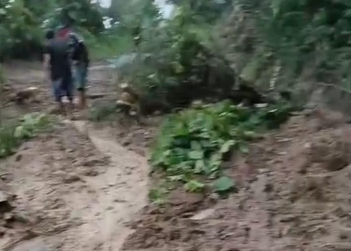 Diguyur Hujan, Tebing Setinggi 10 Meter Longsor Menutup Jalan Selama 13 Jam