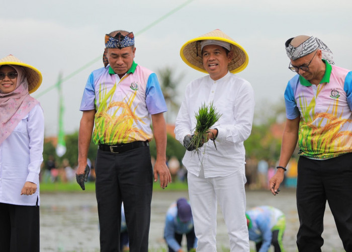 Bersama Kejagung, KDM Implementasikan Swasembada Pangan dengan Manfaatkan Lahan Aset Negara
