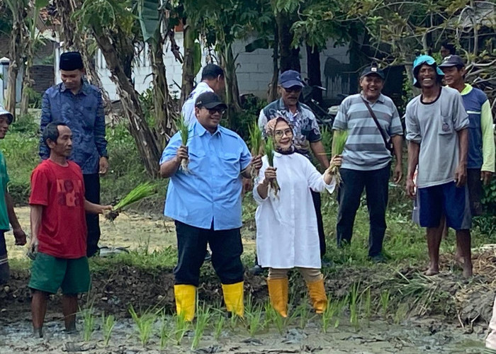 Dukung Ketahanan Pangan, George Edwin Sugiharto Tanam Padi